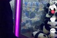 抓娃娃的视频,趣味与技巧的完美结合