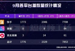 视频播放量,播放量突破百万！揭秘热门视频背后的故事